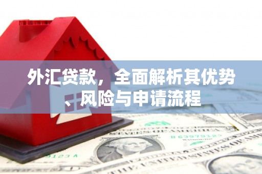 礁溪外汇贷款，全面解析其优势、风险与申请流程