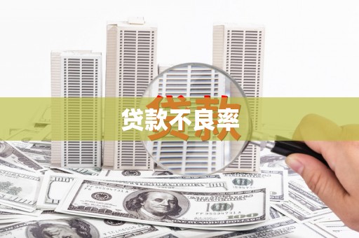礁溪贷款不良率