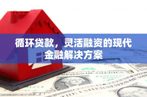 礁溪循环贷款，灵活融资的现代金融解决方案