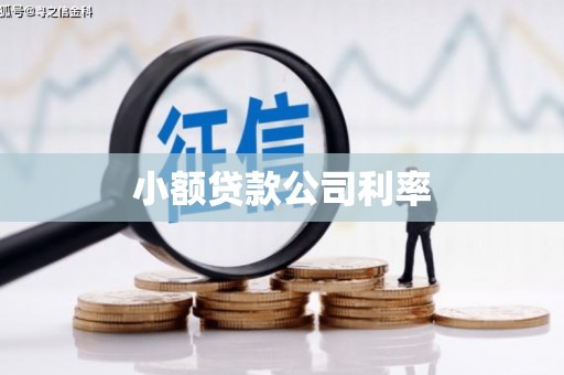 礁溪小额贷款公司利率