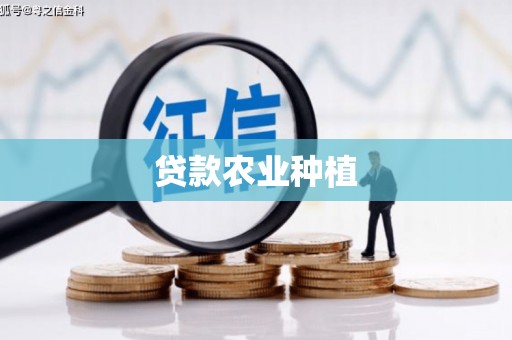 礁溪贷款农业种植