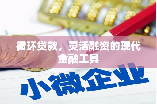 礁溪循环贷款，灵活融资的现代金融工具