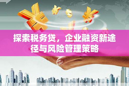 礁溪探索税务贷，企业融资新途径与风险管理策略