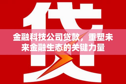 礁溪金融科技公司贷款，重塑未来金融生态的关键力量