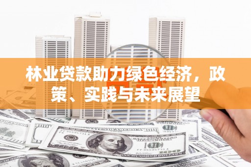 礁溪林业贷款助力绿色经济，政策、实践与未来展望