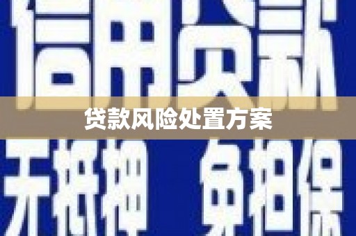 礁溪贷款风险处置方案