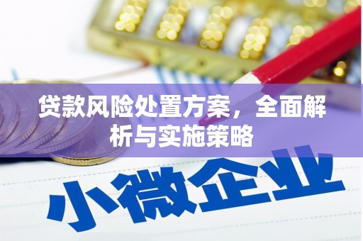 礁溪贷款风险处置方案，全面解析与实施策略